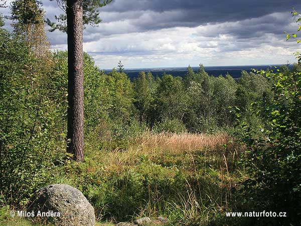 همسات ارض السويد National-park-garphyttan-040